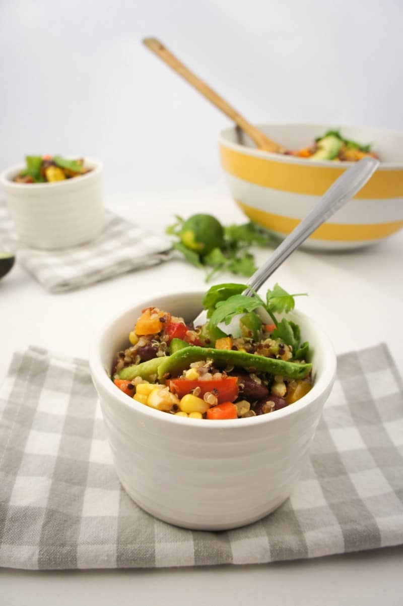 High protein quinoa and kidney bean salad with salsa vinaigrette
